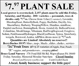 Advertisement Advertisement