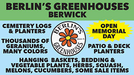 Advertisement Advertisement