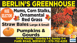 Advertisement Advertisement