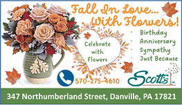 Advertisement Advertisement