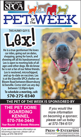 Advertisement Advertisement