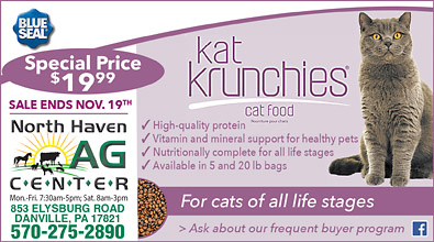 Advertisement Advertisement