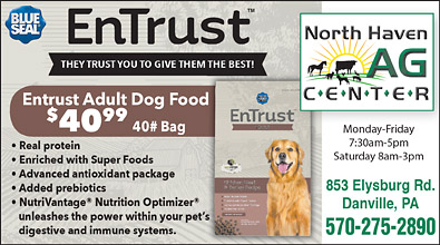 Advertisement Advertisement