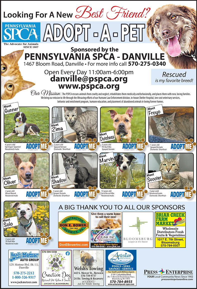 Advertisement Advertisement