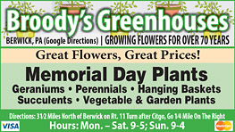 Advertisement Advertisement