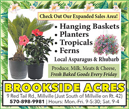 Advertisement Advertisement