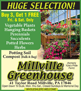 Advertisement Advertisement