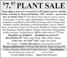 Advertisement Advertisement