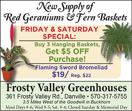 Advertisement Advertisement