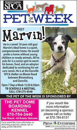 Advertisement Advertisement