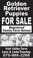 Advertisement Advertisement