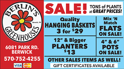 Advertisement Advertisement