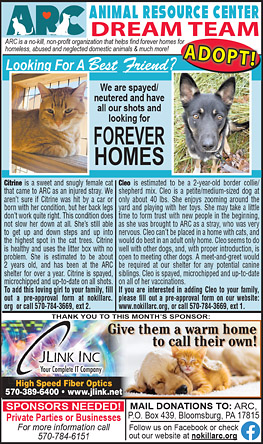 Advertisement Advertisement