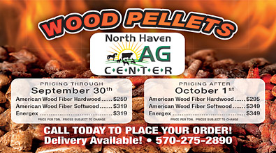 Advertisement Advertisement