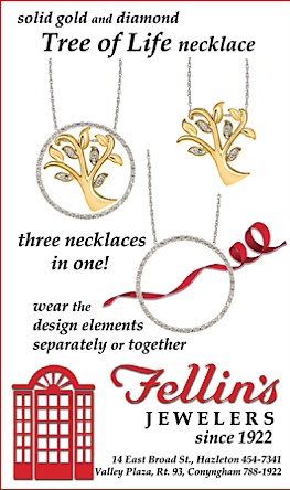 Advertisement Advertisement