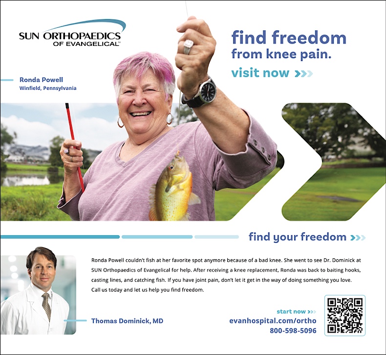 Advertisement Advertisement