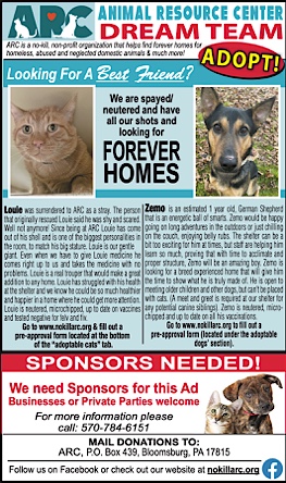 Advertisement Advertisement