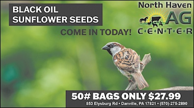 Advertisement Advertisement