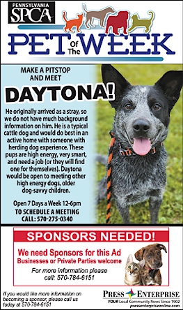 Advertisement Advertisement