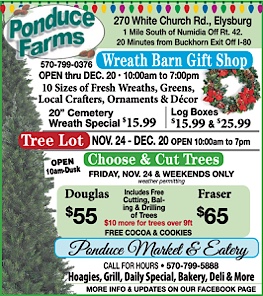 Advertisement Advertisement