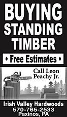 Advertisement Advertisement