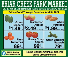 Advertisement Advertisement