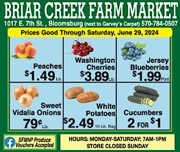 Advertisement Advertisement