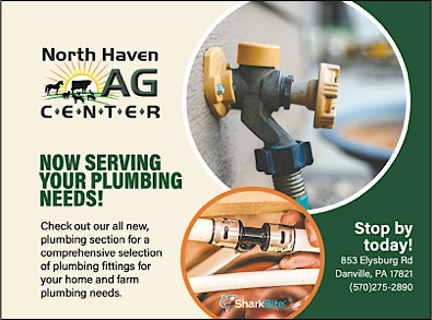 Advertisement Advertisement