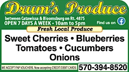 Advertisement Advertisement