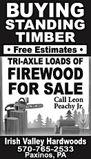 Advertisement Advertisement