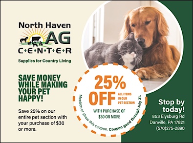 Advertisement Advertisement