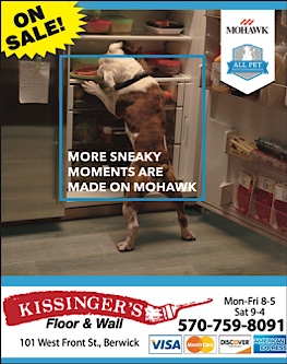 Advertisement Advertisement