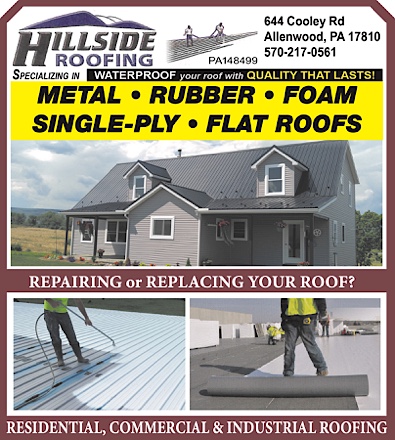 Advertisement Advertisement