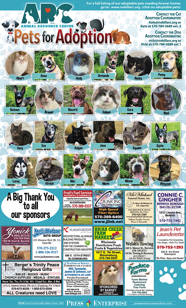 Advertisement Advertisement