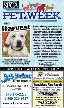 Advertisement Advertisement