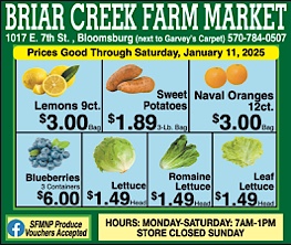 Advertisement Advertisement