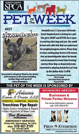 Advertisement Advertisement