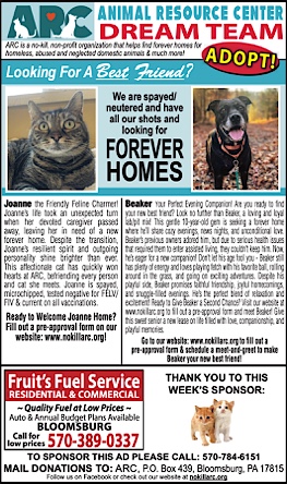 Advertisement Advertisement