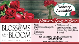 Advertisement Advertisement