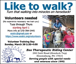 Advertisement Advertisement