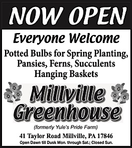 Advertisement Advertisement