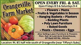 Advertisement Advertisement