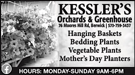 Advertisement Advertisement