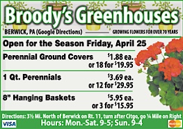 Advertisement Advertisement