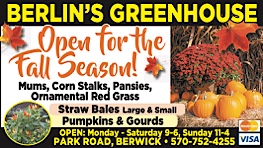 Advertisement