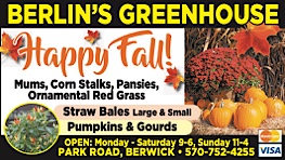 Advertisement Advertisement