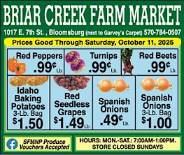 Advertisement Advertisement