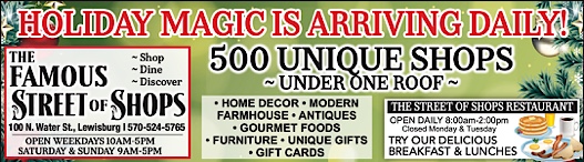 Advertisement Advertisement