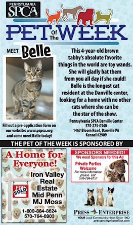 Advertisement Advertisement