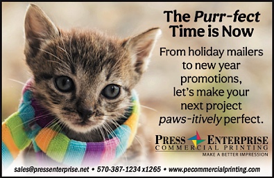 Advertisement Advertisement